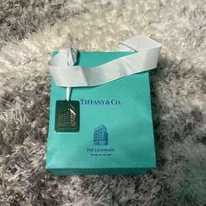 Tiffany Landmark bag and charm